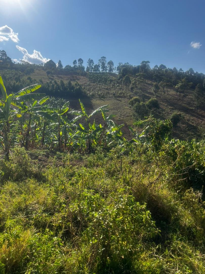 2.3940 Hectares of Freehold Land for Sale in Isingiro in Kyabinuga A Village, Kagarama Parish, Kabingo Sub-county